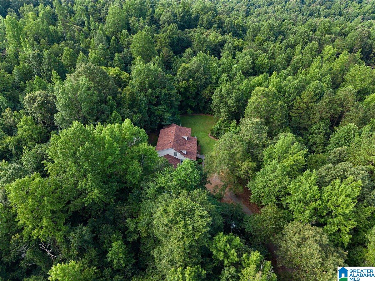 7950 Joy Road Blountsville, AL 35031 - Photo 33 of 35