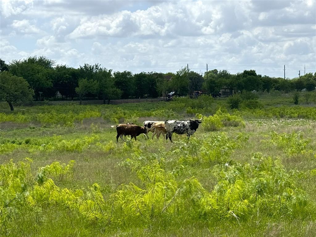1601 Oak Grove Road East Fort Worth, TX 76140 - Photo 24 of 31 a view of yard with green space