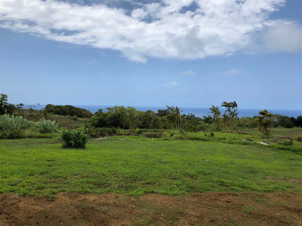 32 South Honokala Road Haiku, HI 96708 - Photo 2 of 7 a view of a grassy field with trees