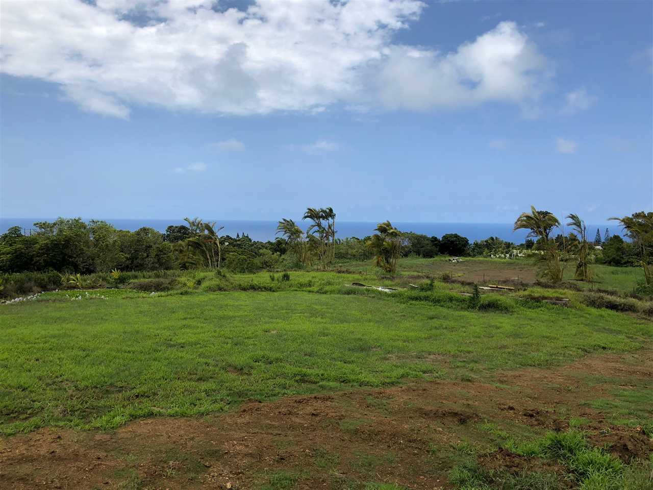 32 South Honokala Road Haiku, HI 96708 - Photo 3 of 7 a view of a field with an ocean and trees