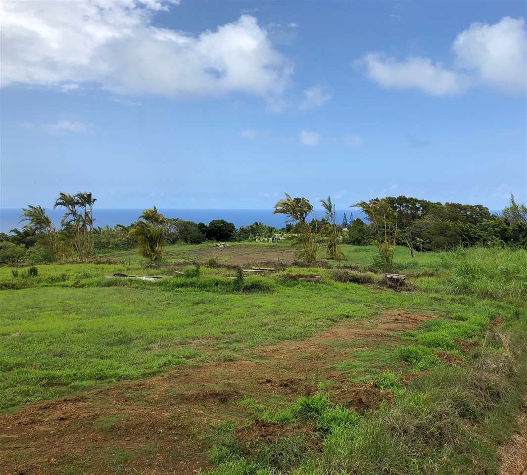 32 South Honokala Road Haiku, HI 96708 - Photo 4 of 7 a view of a field with an ocean and trees