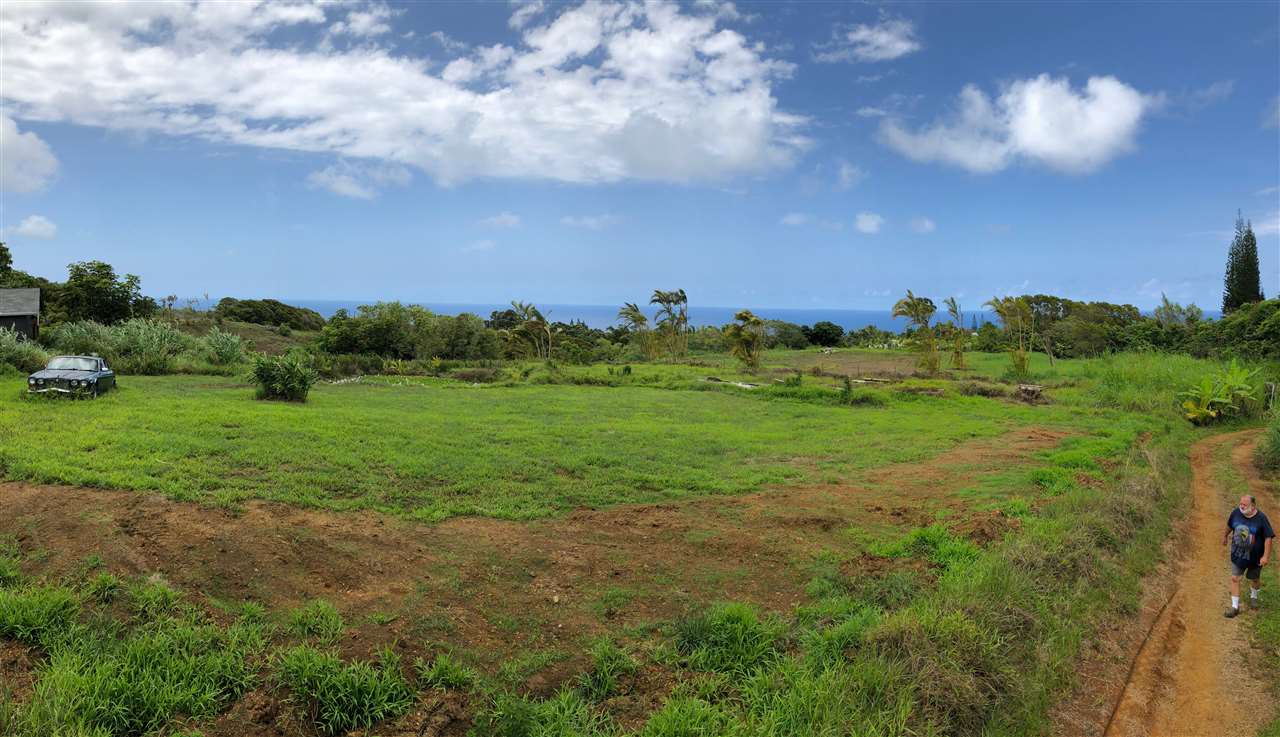 32 South Honokala Road Haiku, HI 96708 - Photo 5 of 7 a view of a big yard with lots of green space