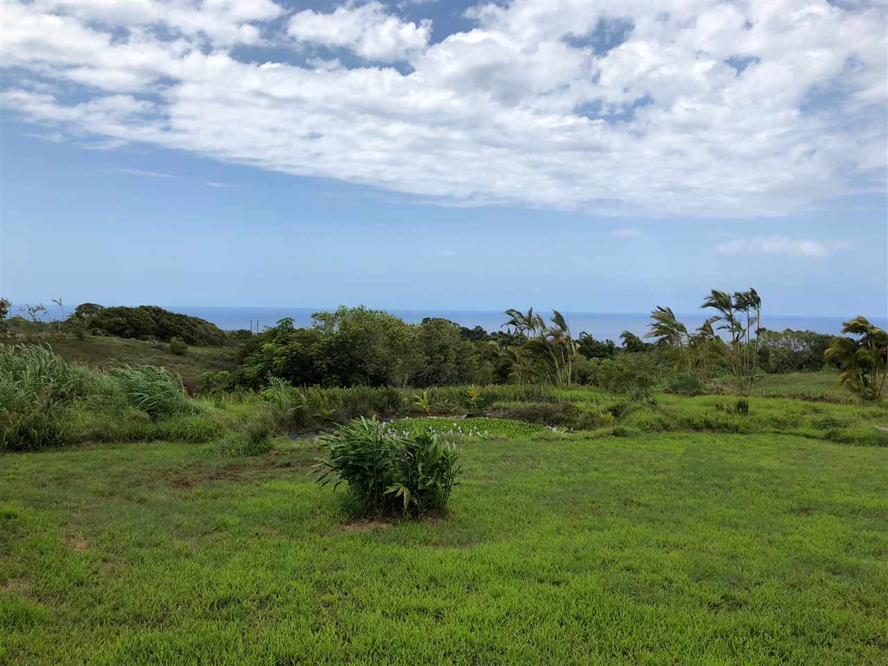 32 South Honokala Road Haiku, HI 96708 - Photo 6 of 7 a view of a big yard with a large tree