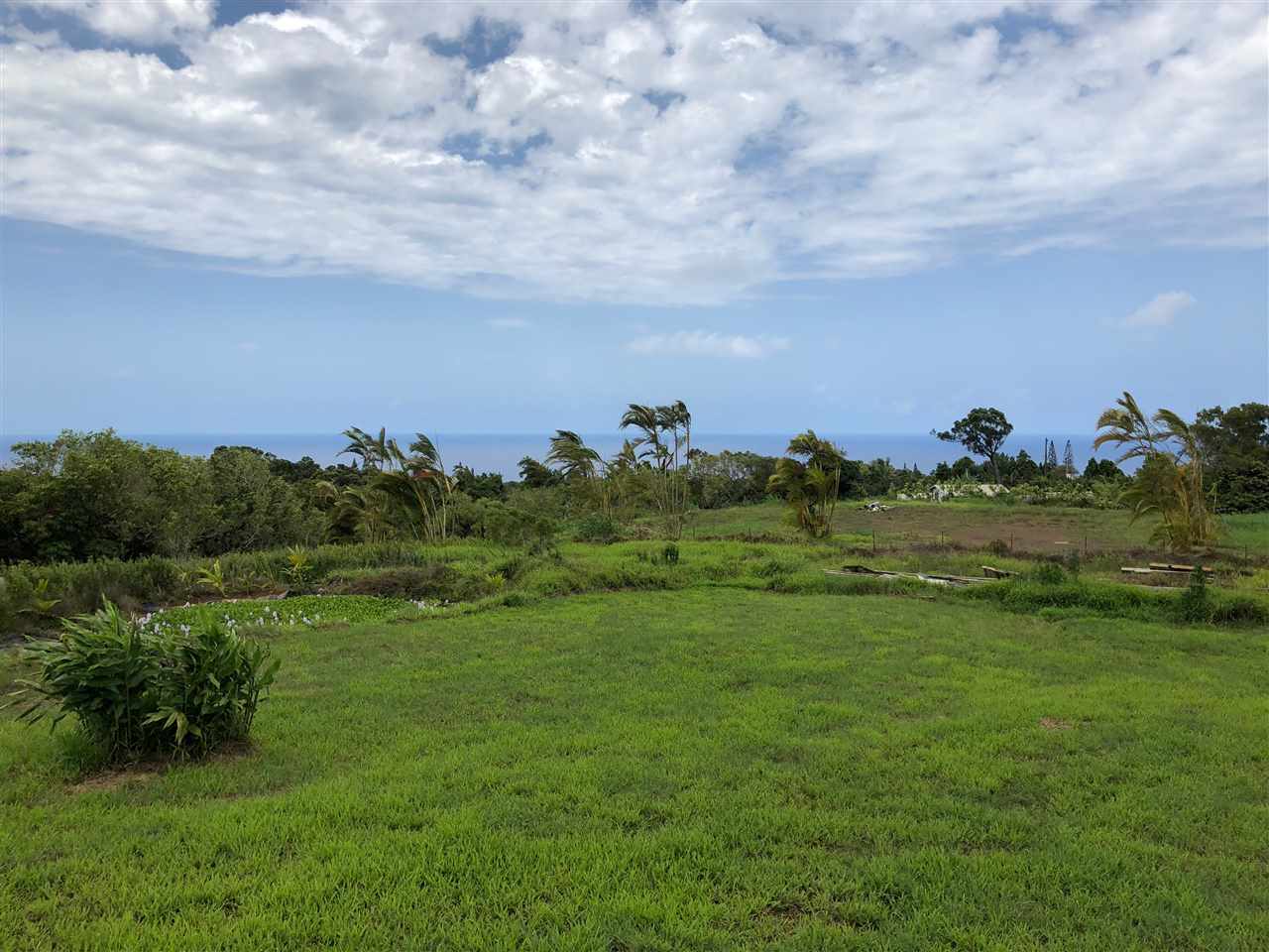 32 South Honokala Road Haiku, HI 96708 - Photo 7 of 7 a view of a grassy field with trees
