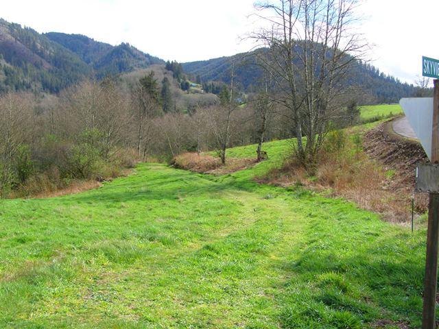 Lot 40 Skyview Road Tillamook, OR 97141 - Photo 4 of 24 P3180254.JPG