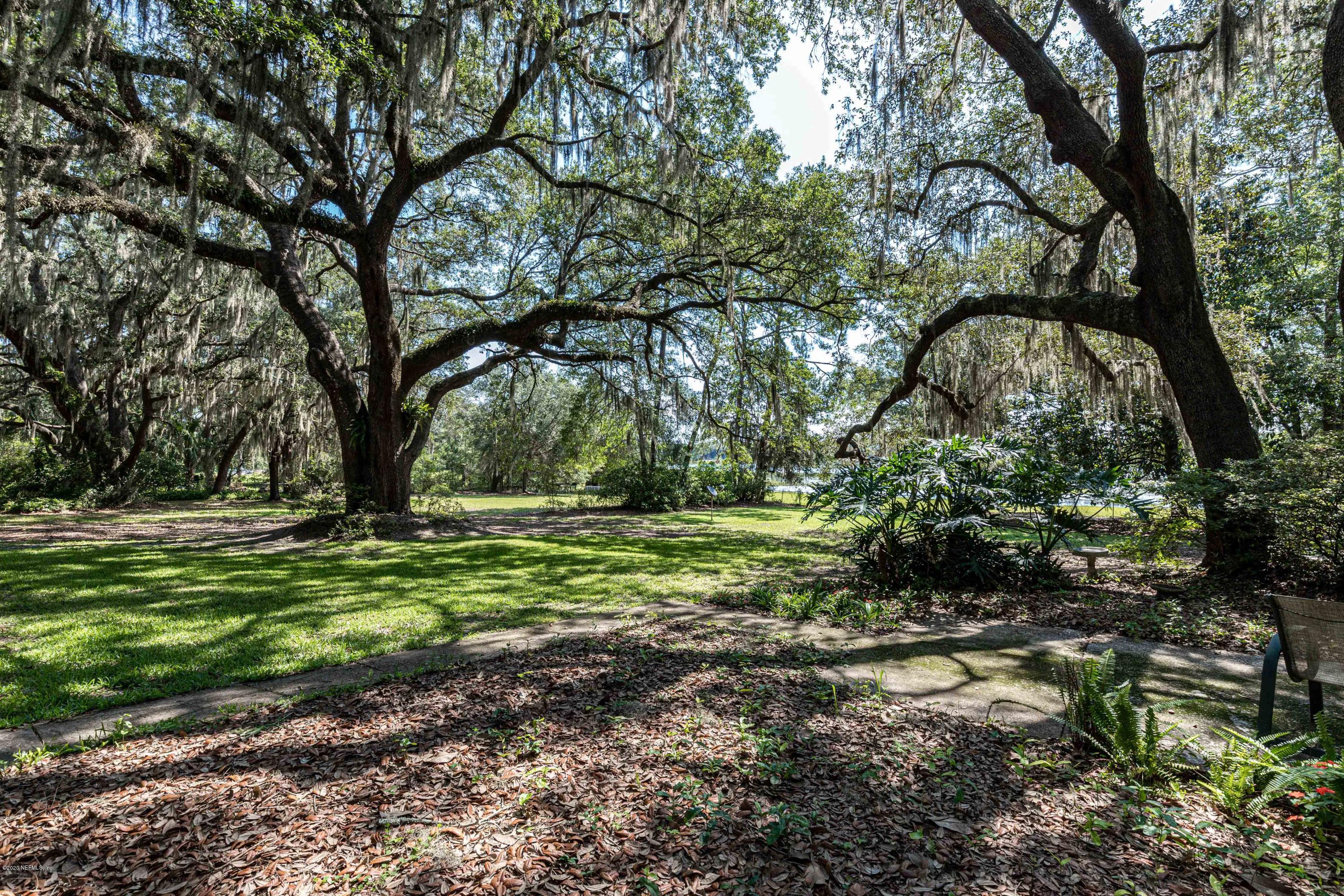 156 Swan Lake Road Melrose, FL 32666 - Photo 55 of 64 Back Yard View 2