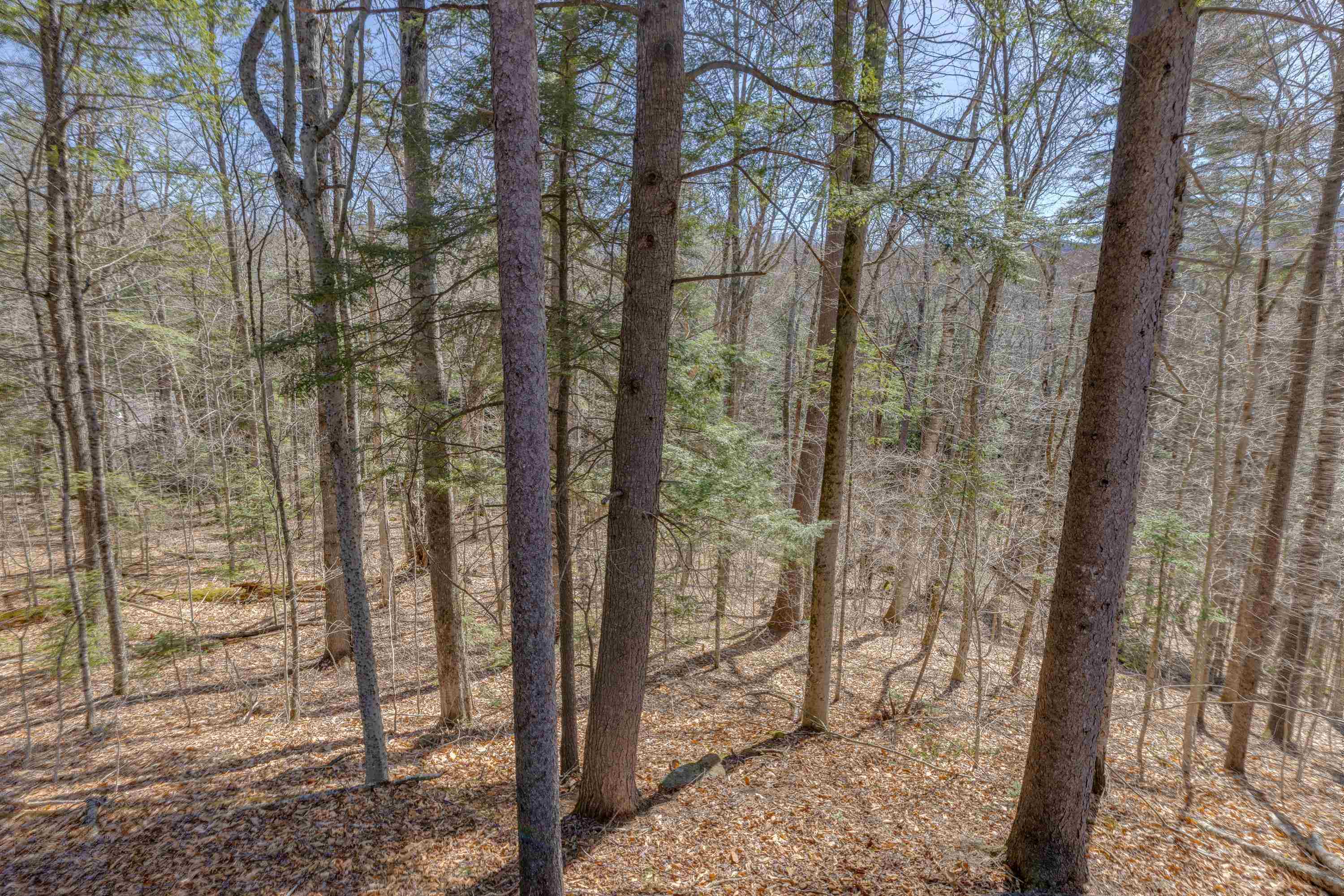 1784 Stinson Lake Road, Unit 2024 Rumney, NH 03266 - Photo 30 of 34 Gallery Image 30
