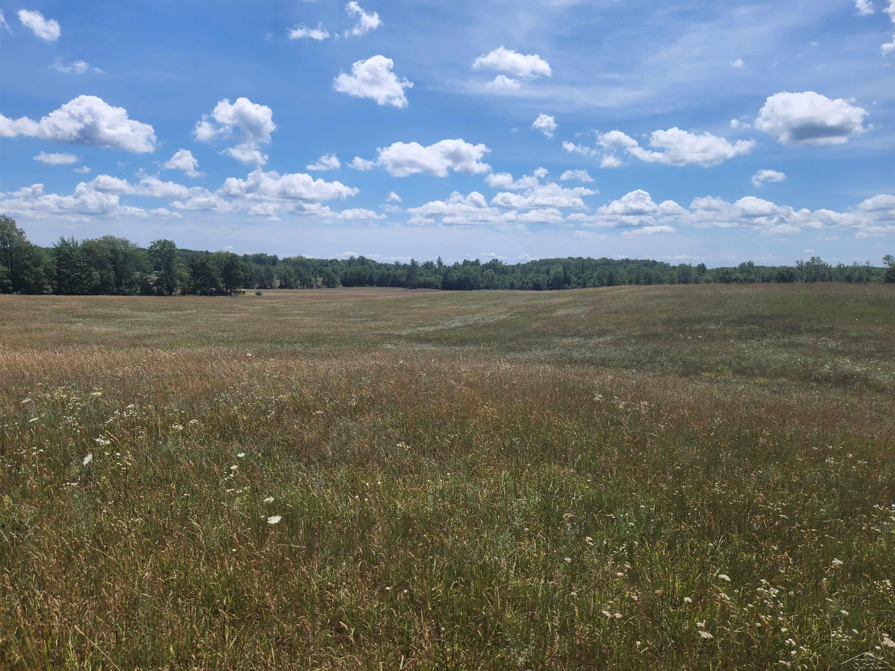 0 East Long Lake Road Harrison, MI 48625 - Photo 3 of 7