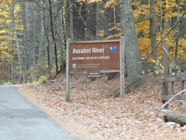 4 Riverside Park Maynard, MA 01754 - Photo 15 of 16