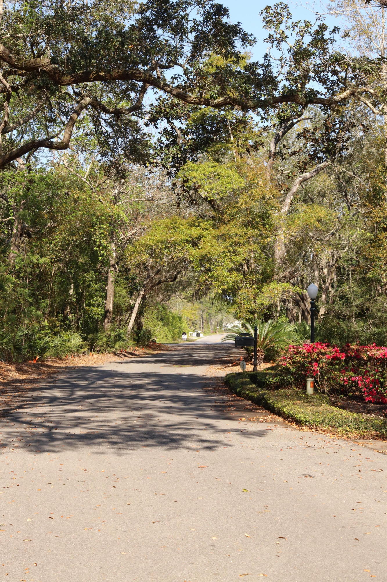 Lot 9 Adair Lane Santa Rosa Beach, FL 32459 - Photo 13 of 23