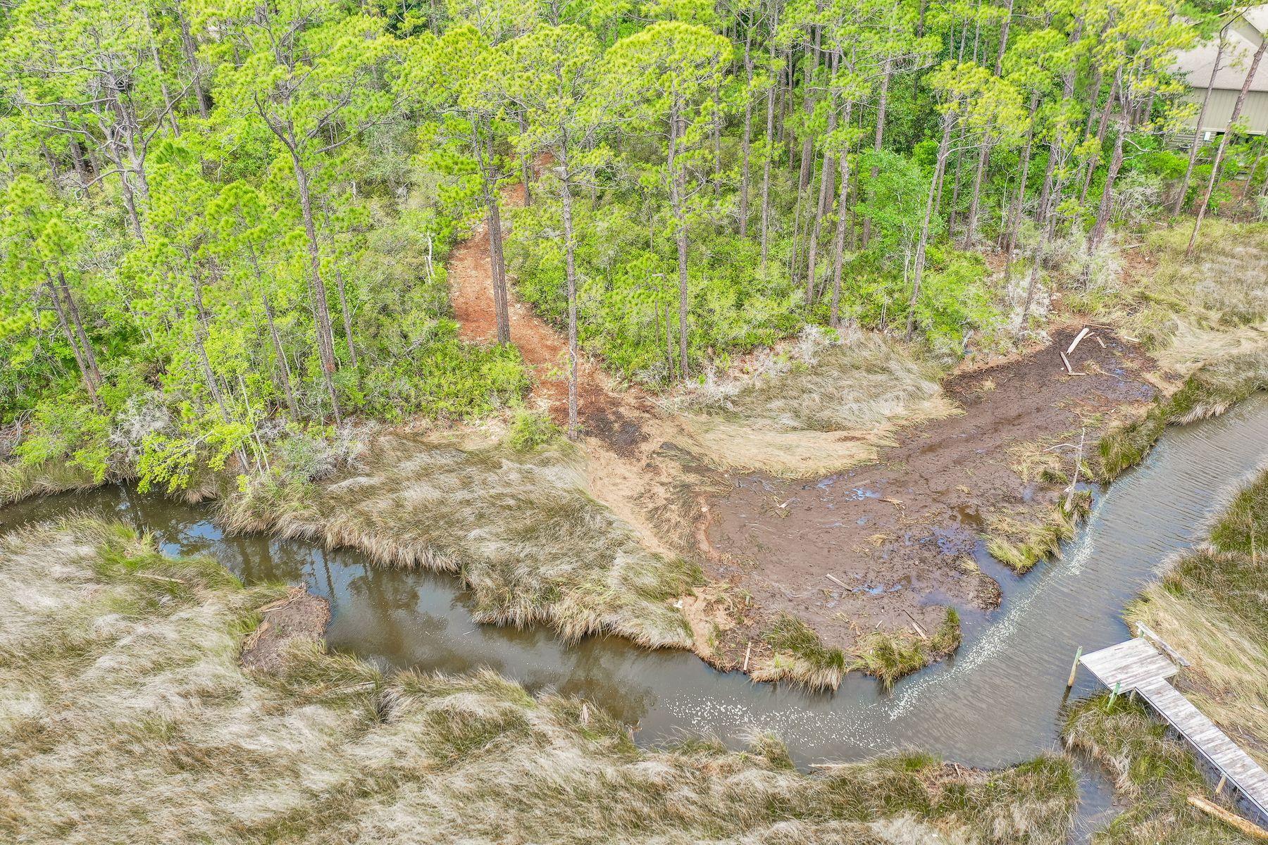 Lot 9 Adair Lane Santa Rosa Beach, FL 32459 - Photo 14 of 23 a close up of a plant in a garden