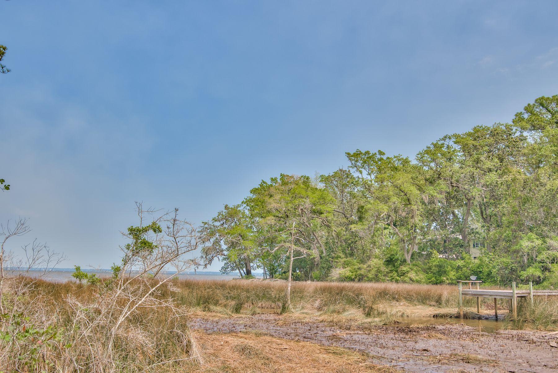 Lot 9 Adair Lane Santa Rosa Beach, FL 32459 - Photo 15 of 23 a view of a garden with a plant