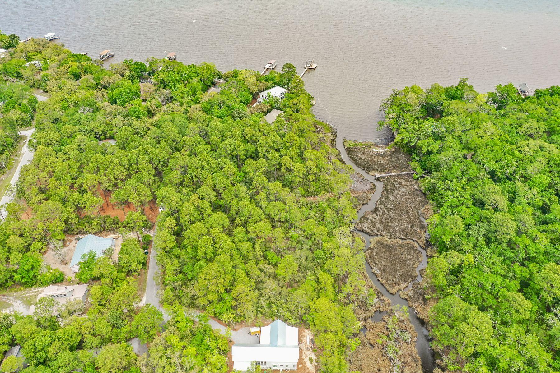 Lot 9 Adair Lane Santa Rosa Beach, FL 32459 - Photo 17 of 23 a plant that is in a garden