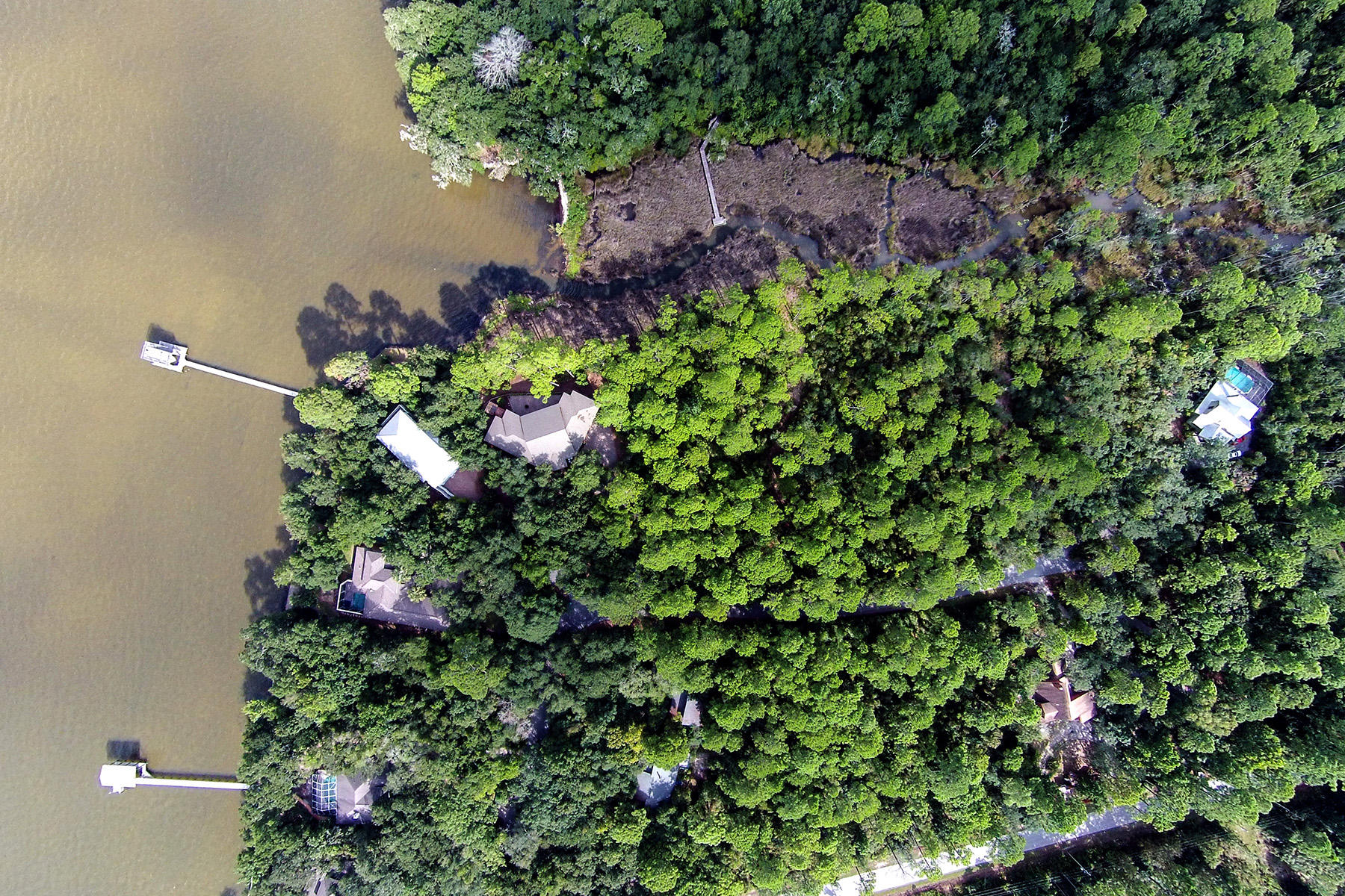Lot 9 Adair Lane Santa Rosa Beach, FL 32459 - Photo 3 of 23 a view of a flower