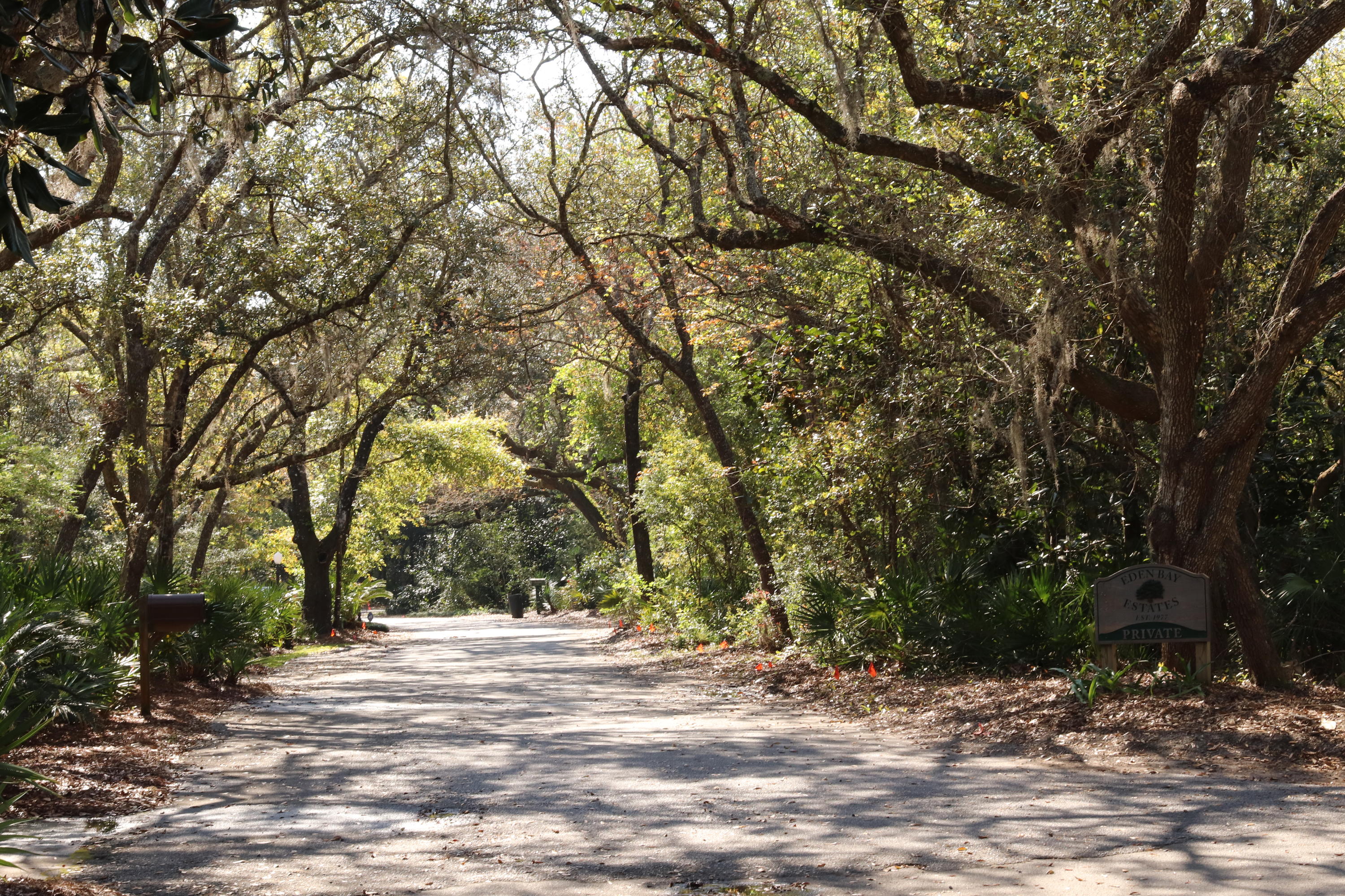 Lot 9 Adair Lane Santa Rosa Beach, FL 32459 - Photo 7 of 23 a view of a yard with large trees