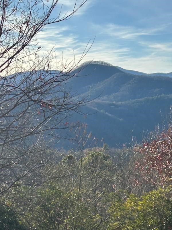 8 The Ridges Hiawassee, GA 30546 - Photo 2 of 4 Gallery Image 2