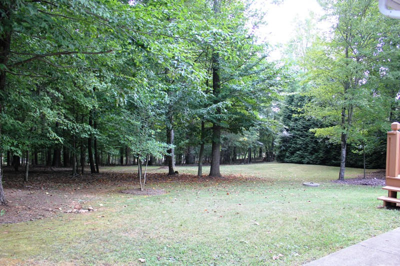 1264 Jamestown Road Rocky Mount, VA 24151 - Photo 13 of 30 Back Yard