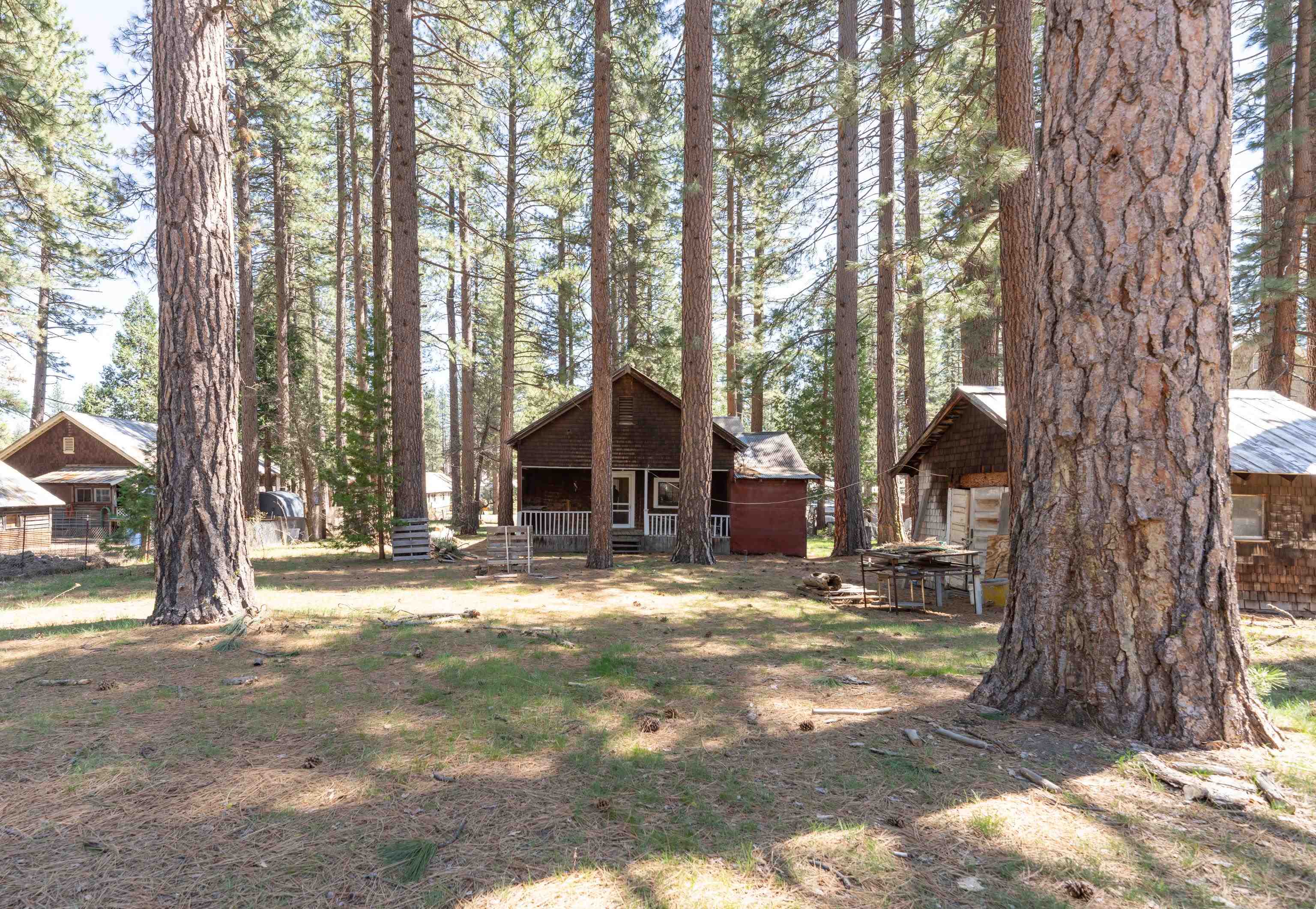 206 Main Street Calpine, CA 96124 - Photo 9 of 9