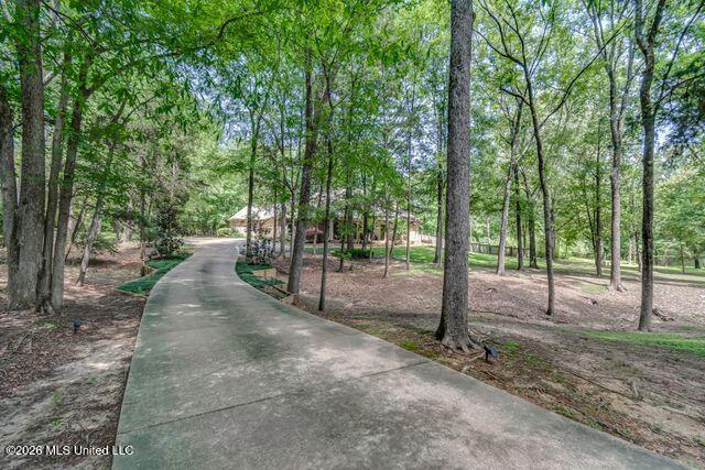 404 Locust Cove Canton, MS 39046 - Photo 4 of 40 1BBnS9mA