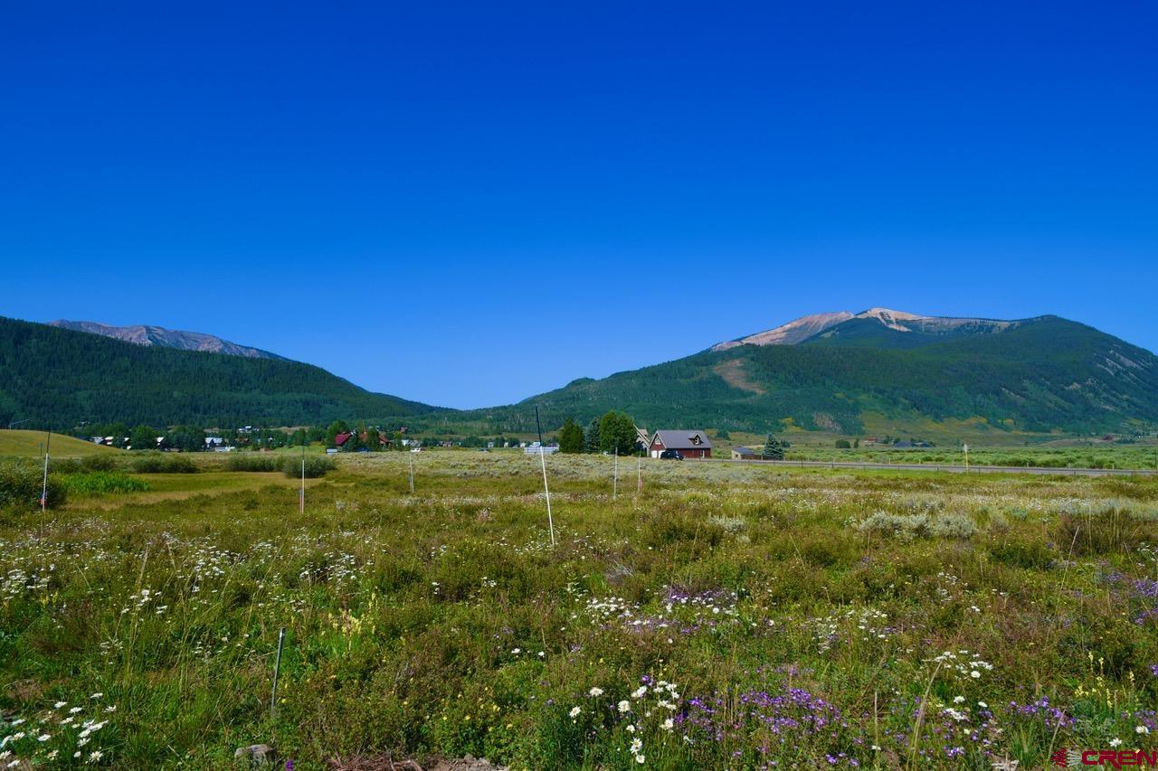 57 Augusta Drive Crested Butte, CO 81224 - Photo 22 of 33 a view of a grassy area with an trees