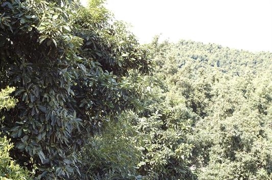 0 Muutama Road Valley Center, CA 92082 - Photo 3 of 8