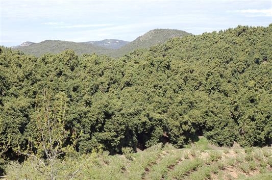 0 Muutama Road Valley Center, CA 92082 - Photo 4 of 8