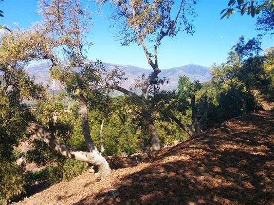0 Muutama Road Valley Center, CA 92082 - Photo 6 of 8