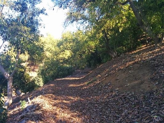 0 Muutama Road Valley Center, CA 92082 - Photo 8 of 8