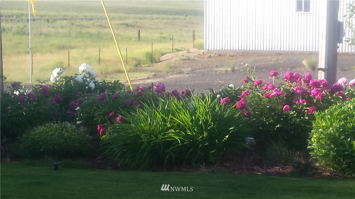 874 Neilson Road Ritzville, WA 99169 - Photo 9 of 25