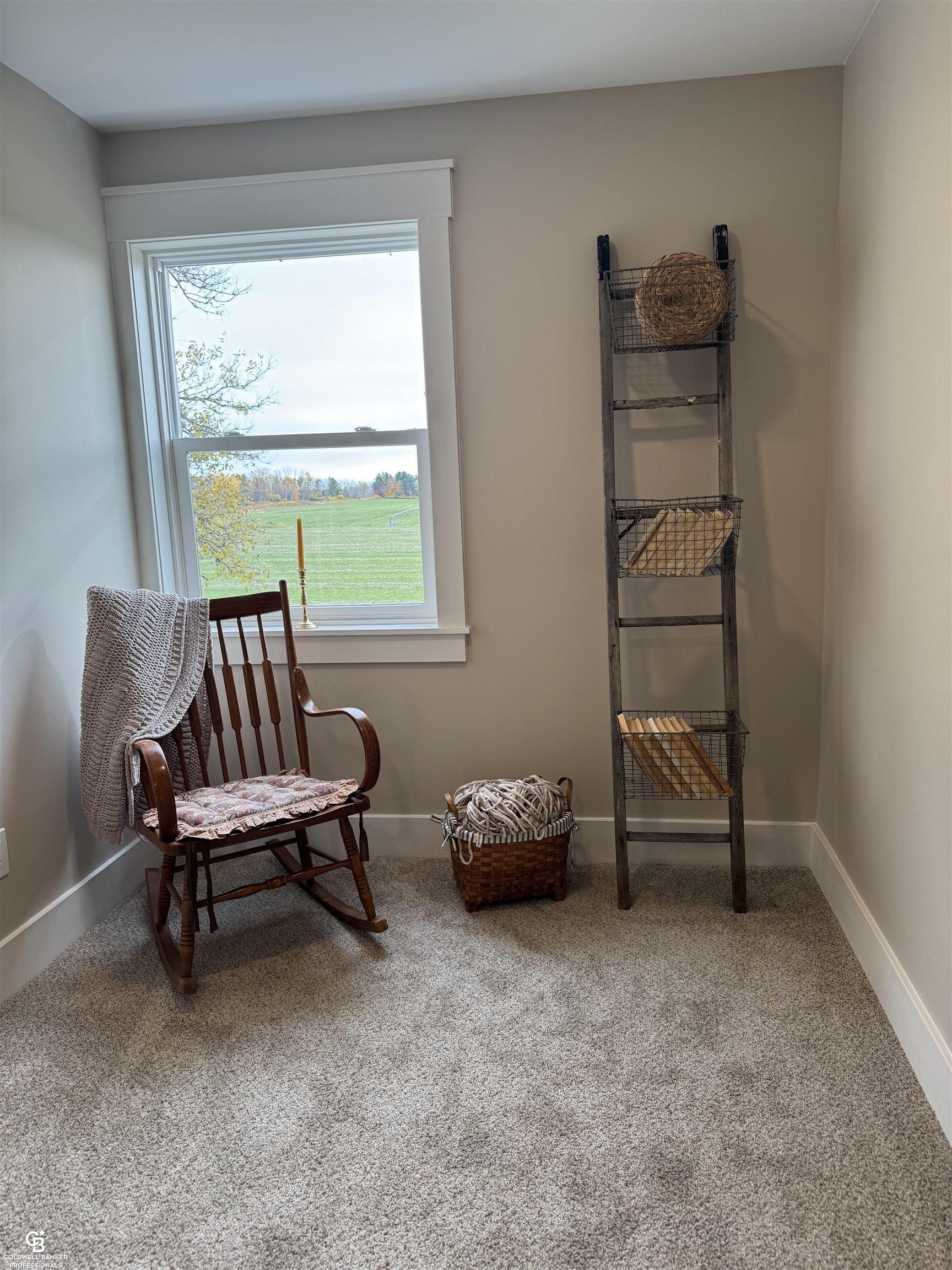 4307 Hobart Road Gagetown, MI 48735 - Photo 51 of 86