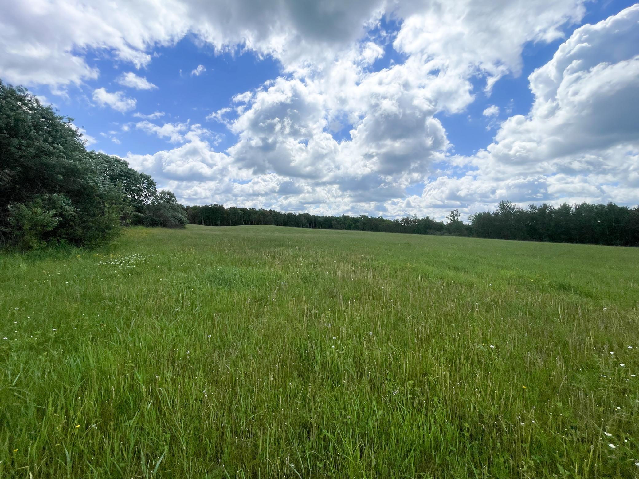 Tbd2 Mud Lake Road Bagley, MN 56621 - Photo 21 of 46