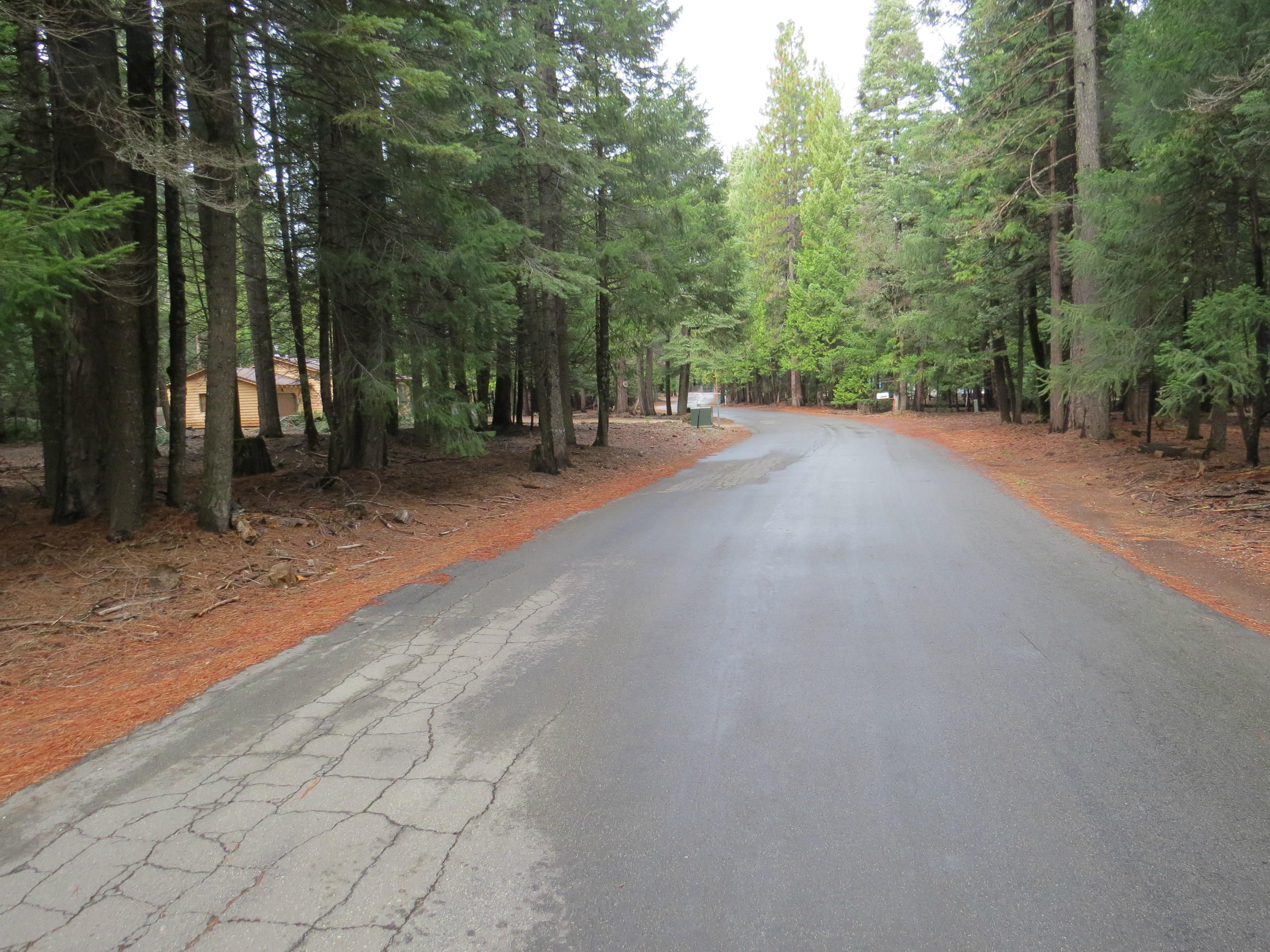20 Ritts Mill Road Shingletown, CA 96088 - Photo 2 of 4 a view of a road with trees in the background