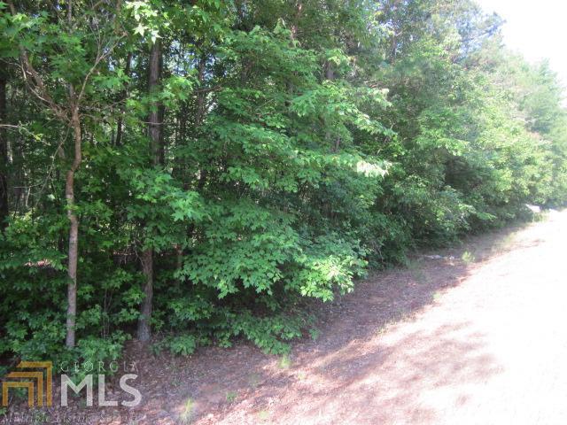 0 Bertus Hunter Road, Unit TR4 Senoia, GA 30276 - Photo 1 of 1 Gallery Image 1
