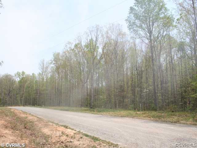 19 Winding Ridge Way Bumpass, VA 23024 - Photo 8 of 12 a view of a yard with trees