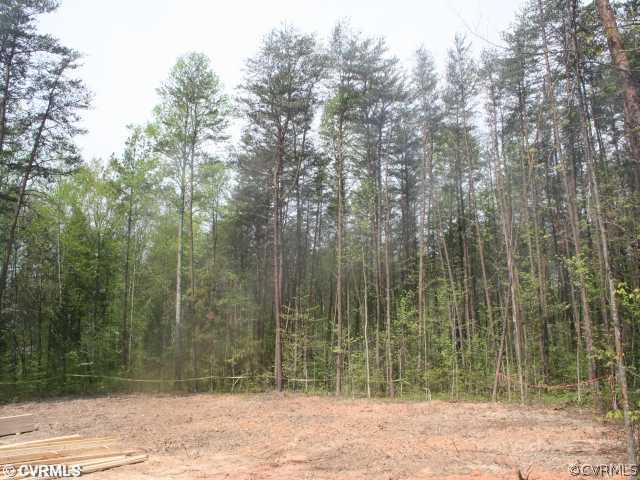 19 Winding Ridge Way Bumpass, VA 23024 - Photo 9 of 12 a view of road with trees