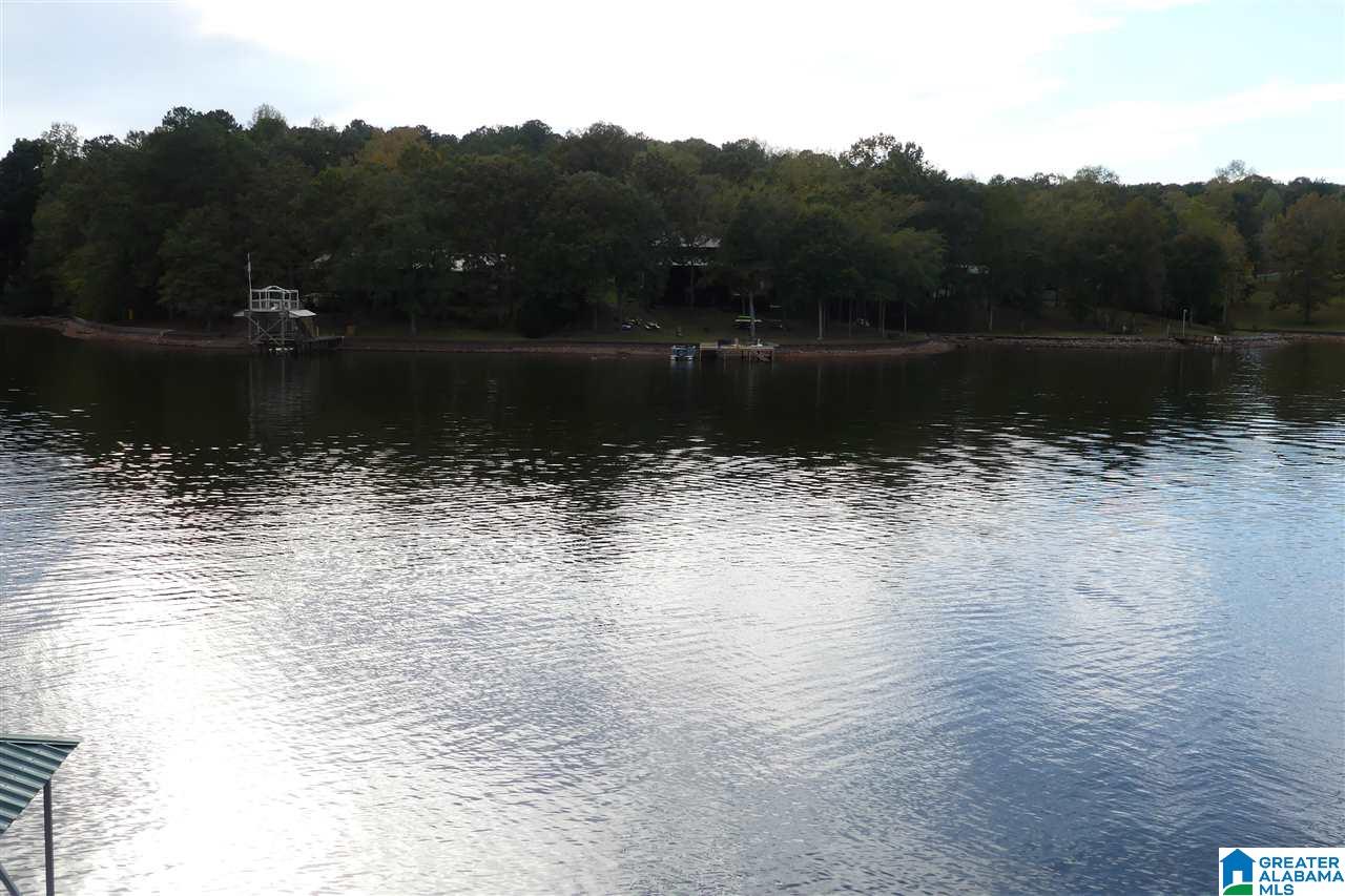 251 Pleasure Point Road Wedowee, AL 36278 - Photo 26 of 31