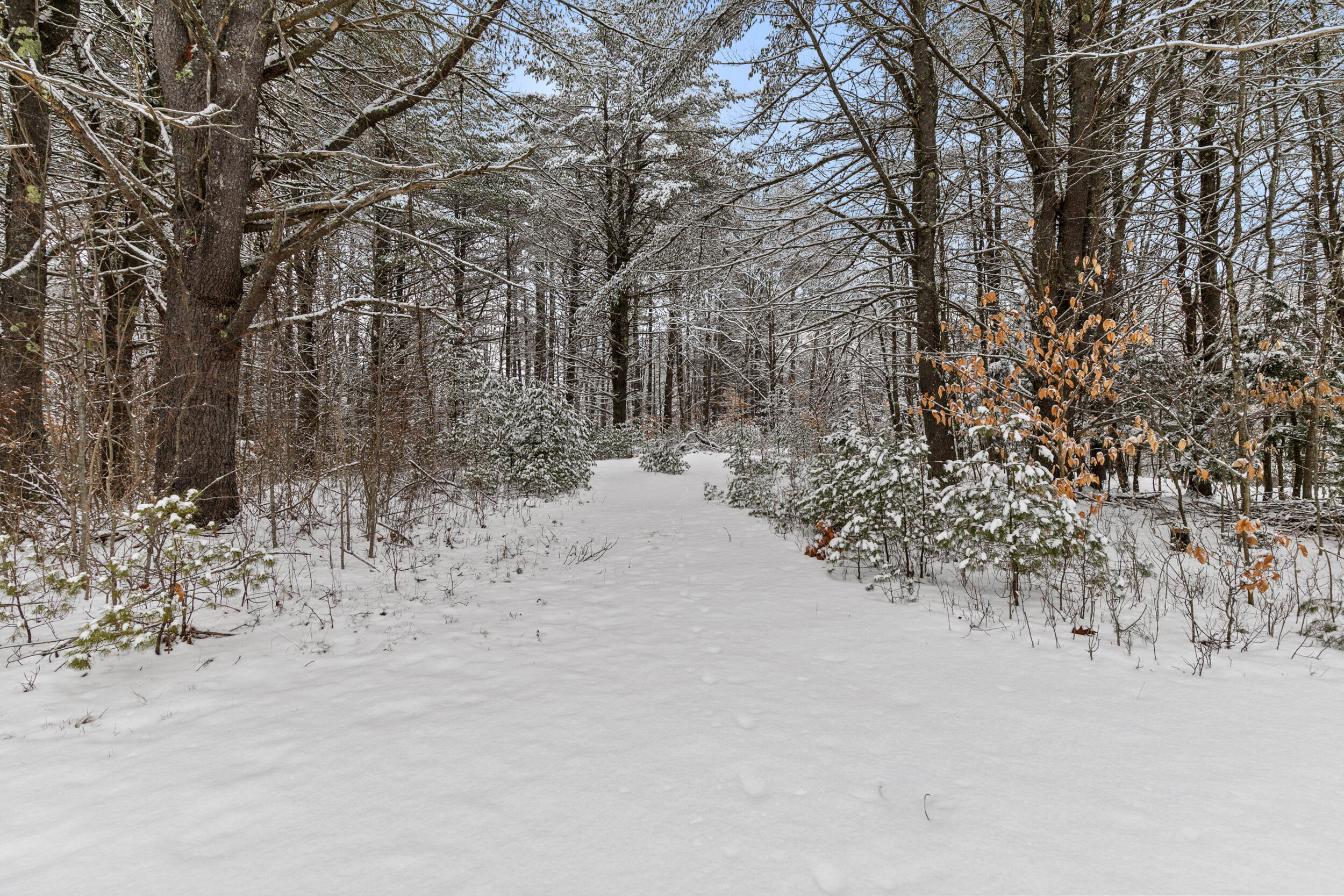 286 South High Street Bridgton, ME 04009 - Photo 27 of 27 286 s high st, bridgton-029