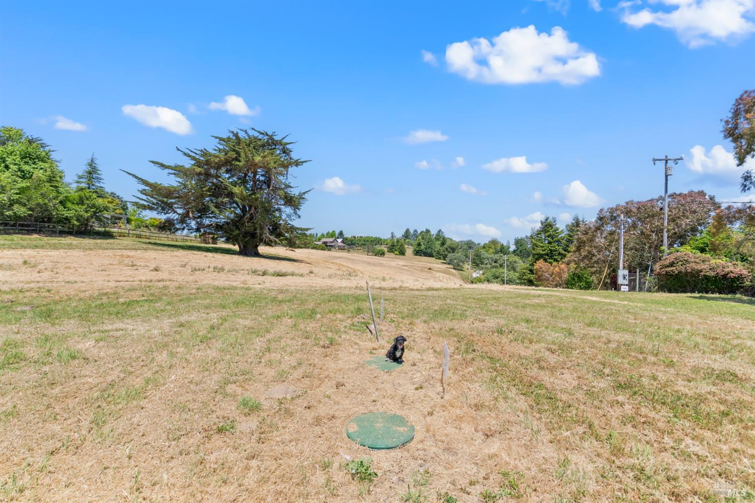 10700 Barnett Valley Road Sebastopol, CA 95472 - Photo 13 of 21 a view of a lake view