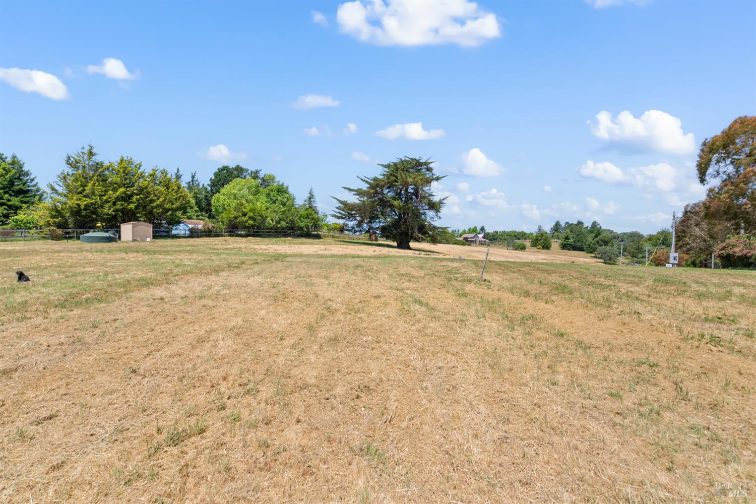 10700 Barnett Valley Road Sebastopol, CA 95472 - Photo 14 of 21 a view of a yard and mountain view