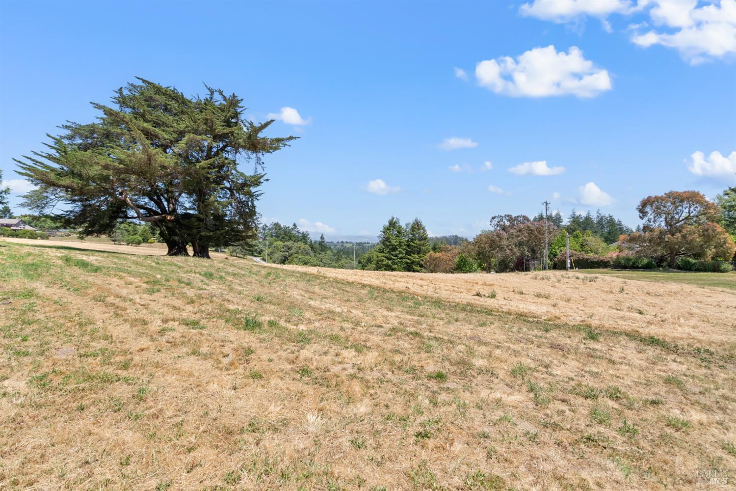 10700 Barnett Valley Road Sebastopol, CA 95472 - Photo 16 of 21 a view of an outdoor space and a yard