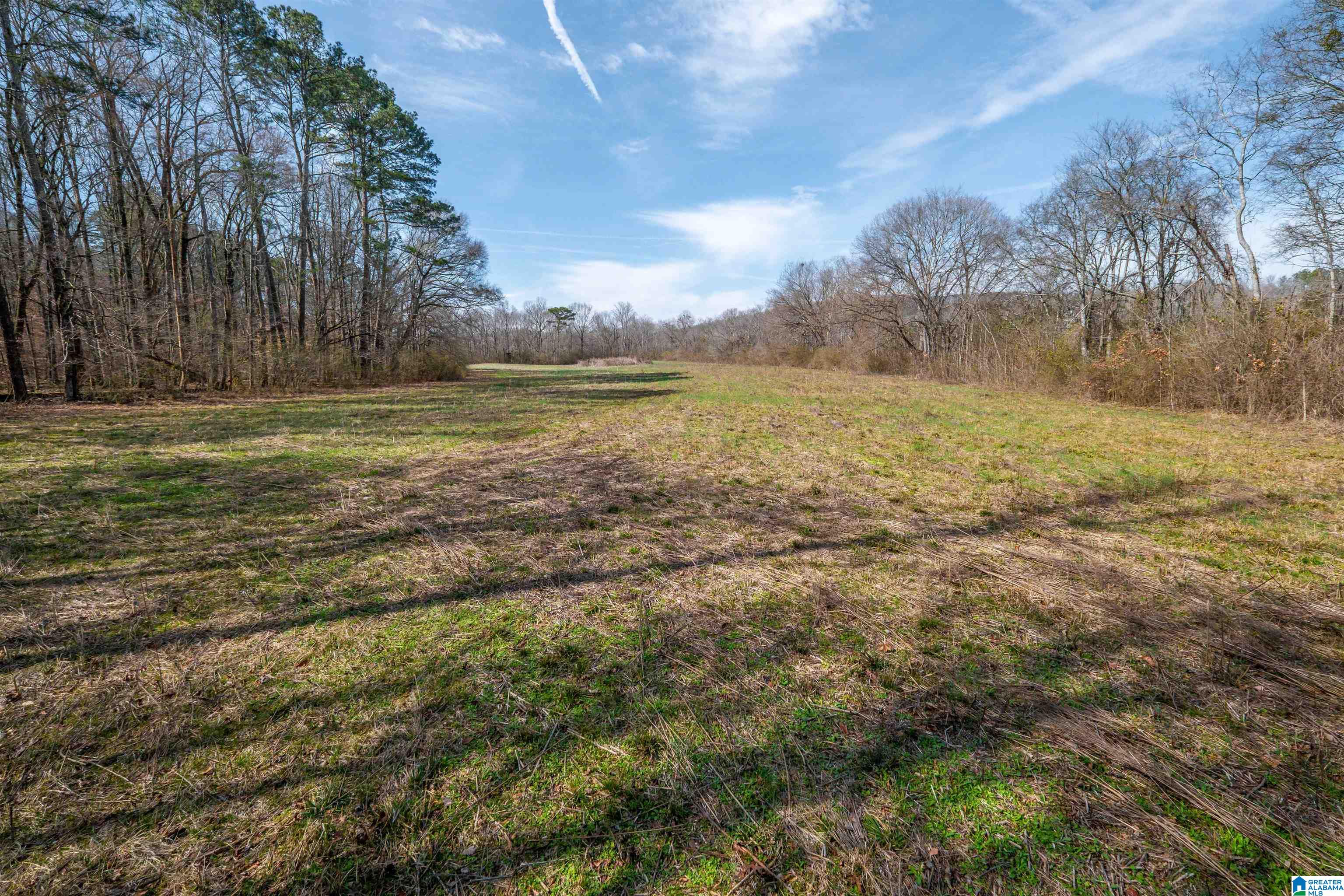 329-acres Ragan Chapel Road Ohatchee, AL 36271 - Photo 27 of 42 Gallery Image 27