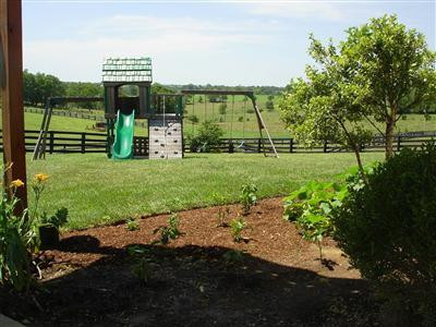 524 Big Stoner Road Winchester, KY 40391 - Photo 20 of 69 playset stays with home as well...