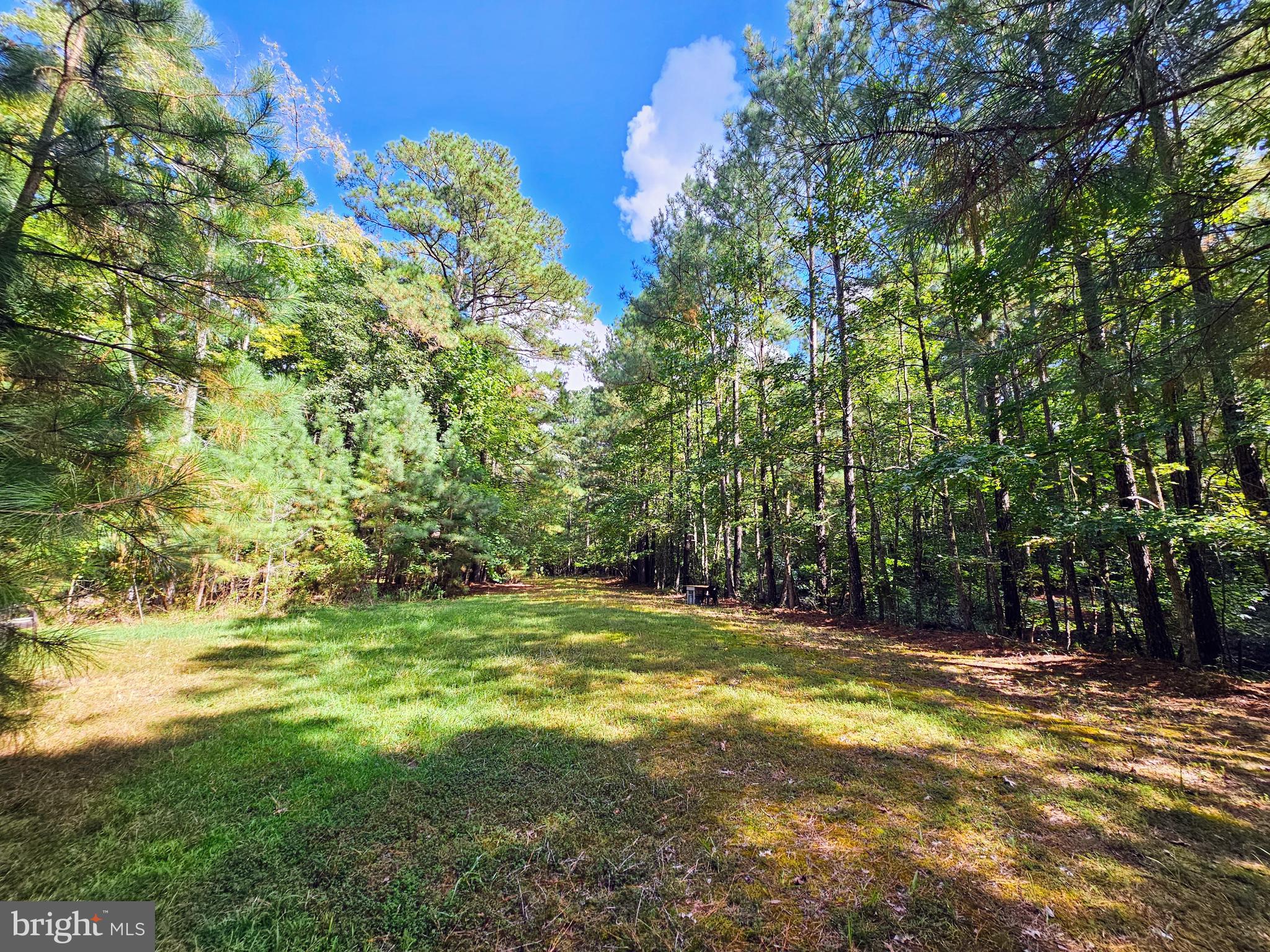 4419 Cooper Road Eden, MD 21822 - Photo 111 of 146 Clearing by pond perfect for a Pavillion
