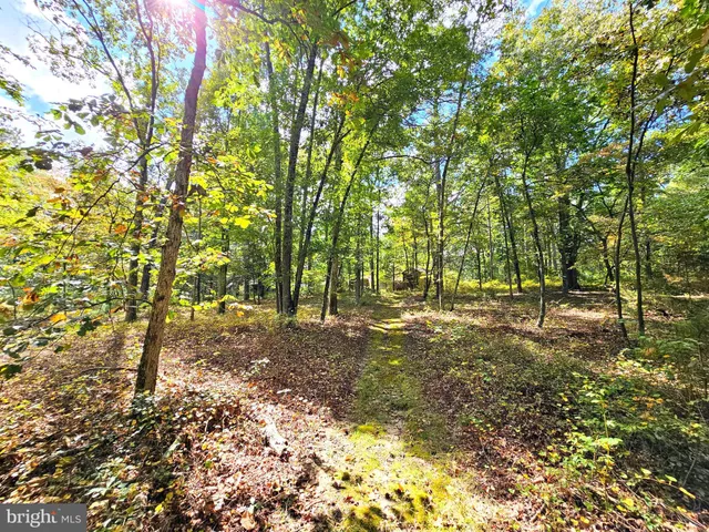 $800,000 | 4419 Cooper Road, Eden, MD 21822