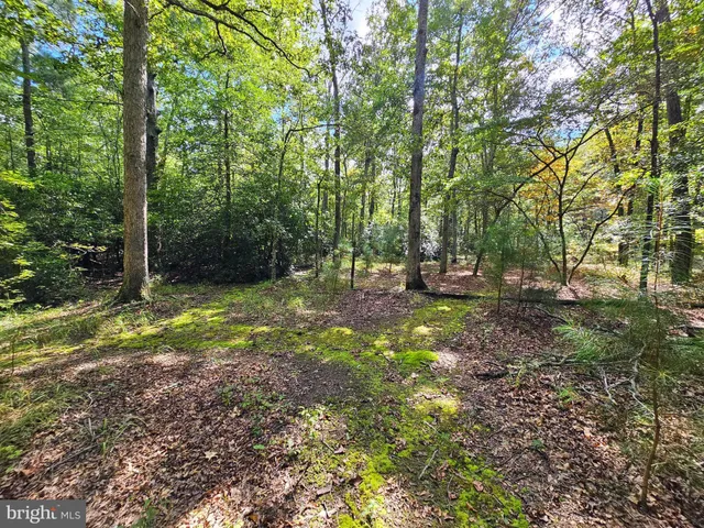 $800,000 | 4419 Cooper Road, Eden, MD 21822