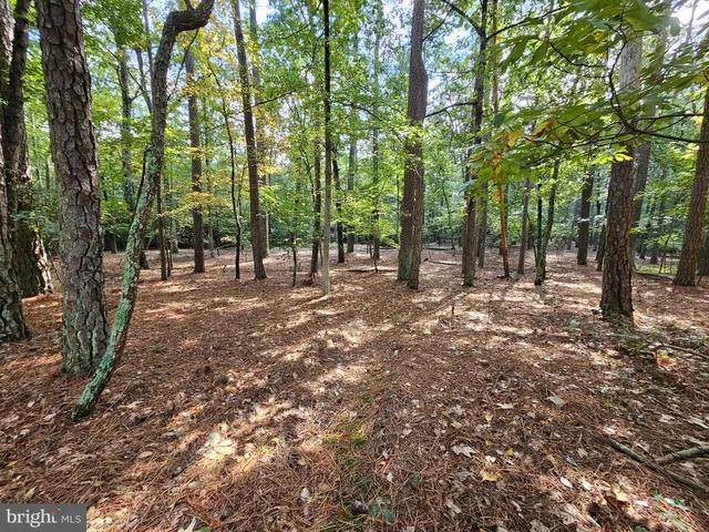 $800,000 | 4419 Cooper Road, Eden, MD 21822