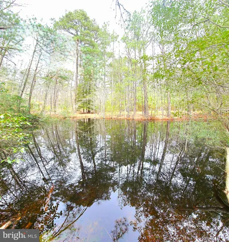 $800,000 | 4419 Cooper Road, Eden, MD 21822