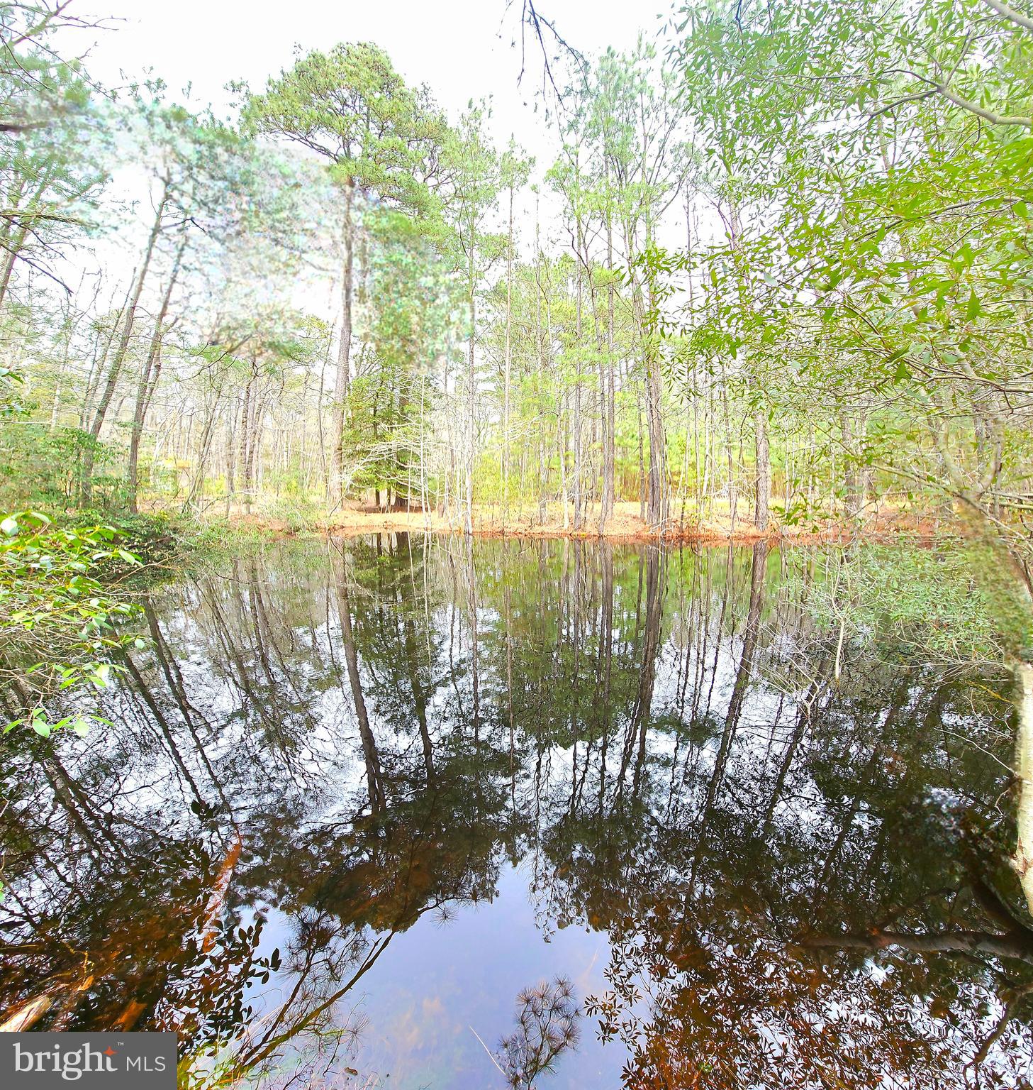 4419 Cooper Road Eden, MD 21822 - Photo 117 of 146 Pond