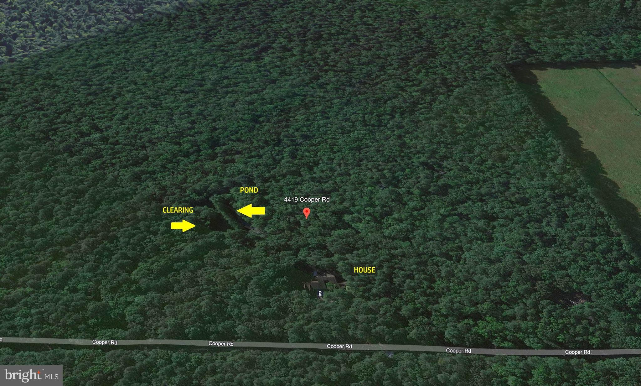 4419 Cooper Road Eden, MD 21822 - Photo 118 of 146 a view of a yard