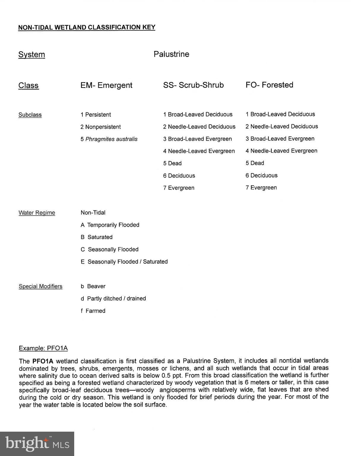 4419 Cooper Road Eden, MD 21822 - Photo 136 of 146 Forestry Plan